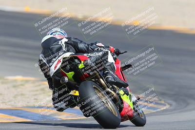 media/Mar-10-2024-SoCal Trackdays (Sun) [[6228d7c590]]/9-Turn 8 Backside (1150am)/